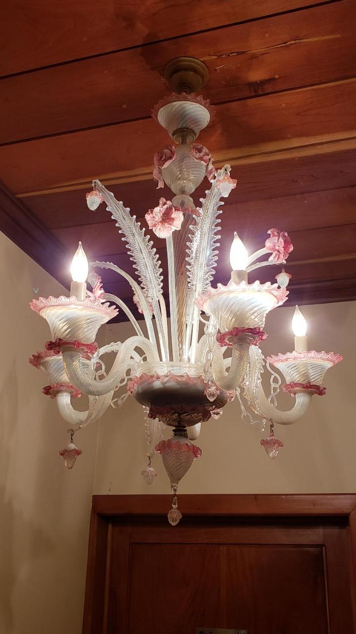 Domus Hotel سان سلفادور المظهر الخارجي الصورة