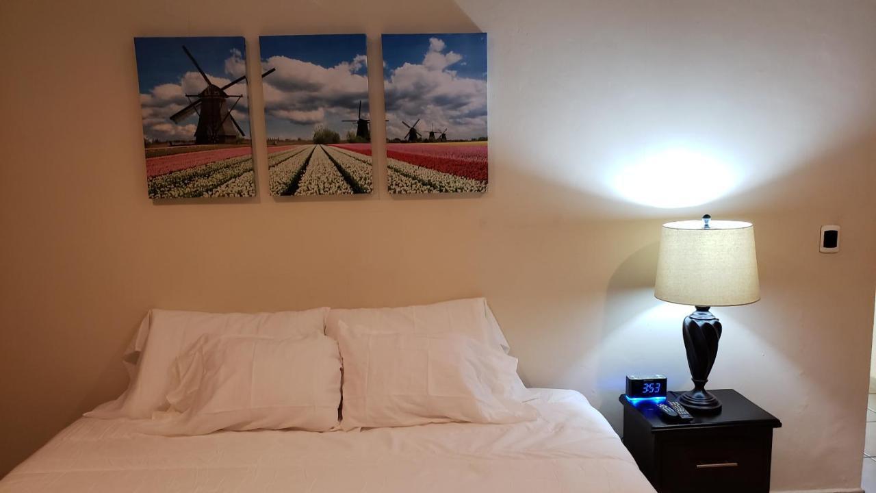 Domus Hotel سان سلفادور المظهر الخارجي الصورة