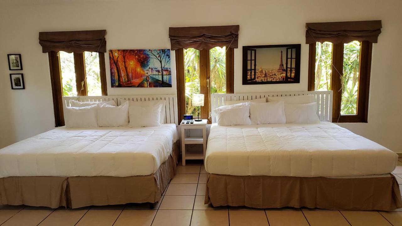 Domus Hotel سان سلفادور المظهر الخارجي الصورة