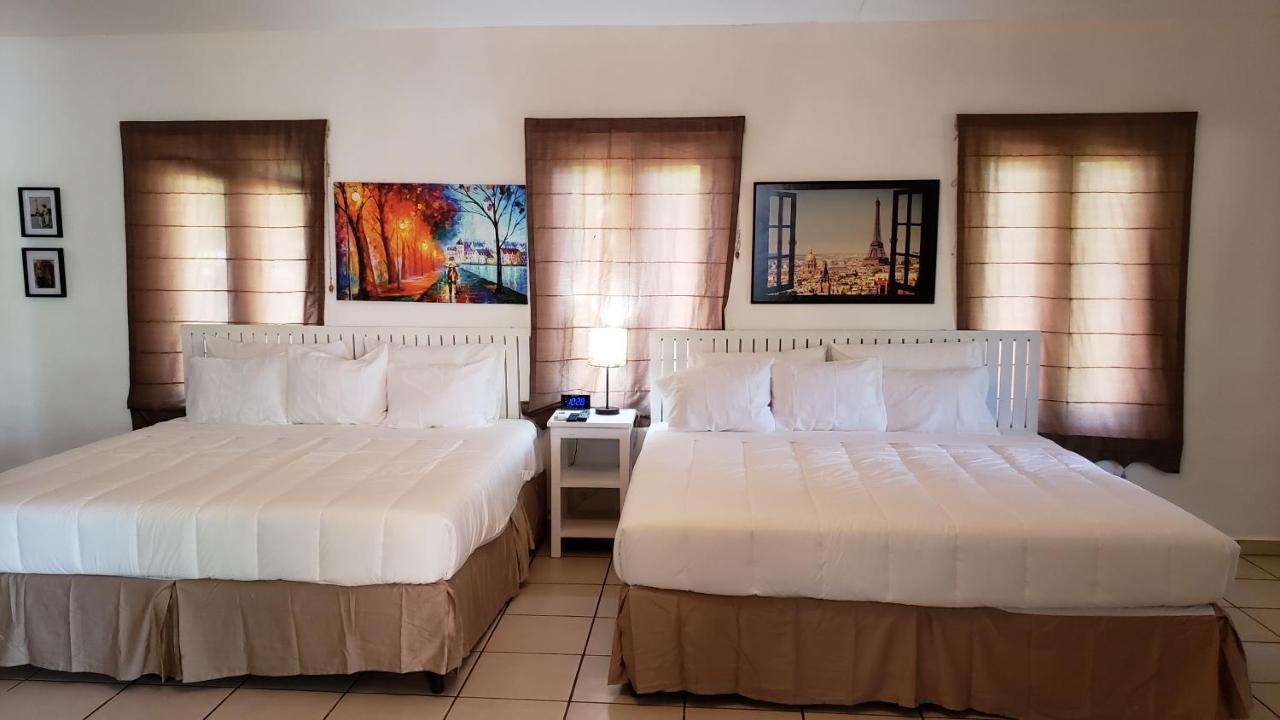 Domus Hotel سان سلفادور المظهر الخارجي الصورة