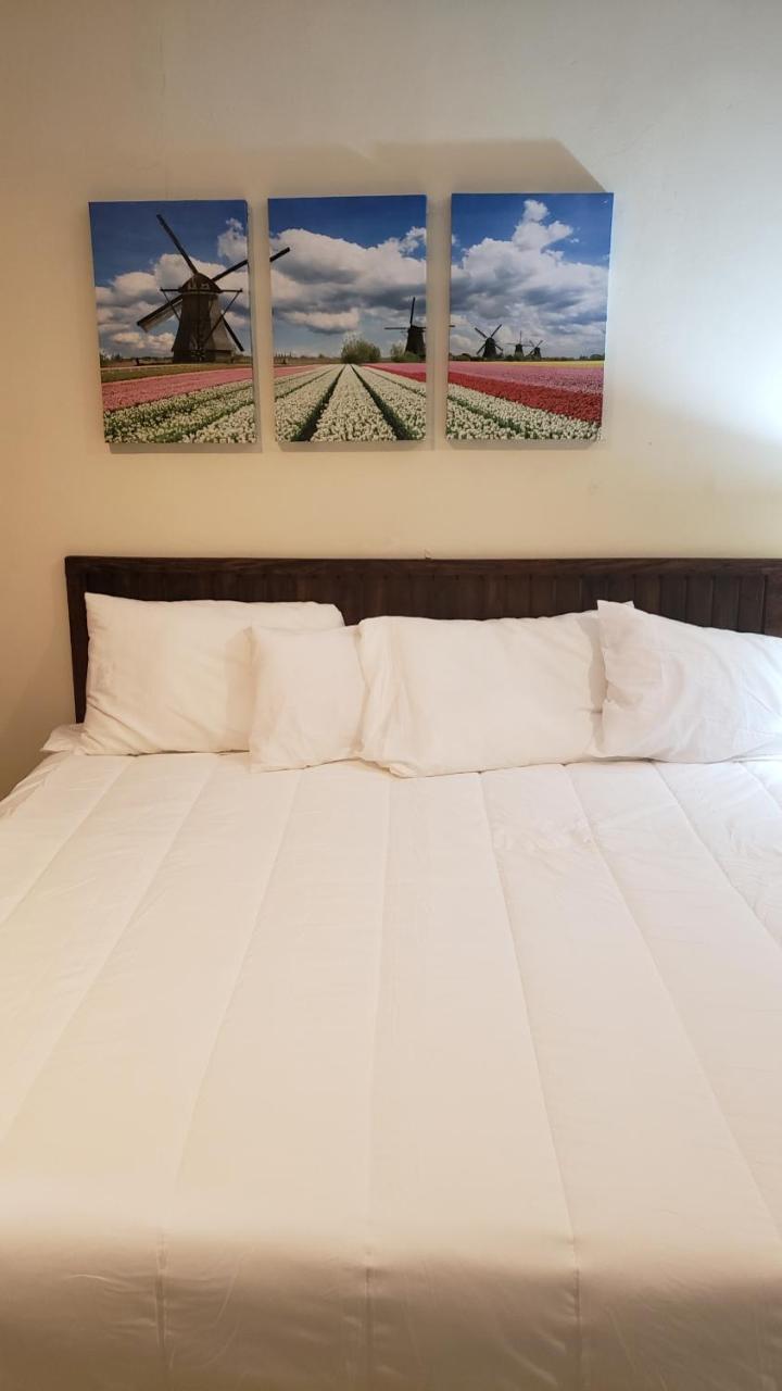 Domus Hotel سان سلفادور المظهر الخارجي الصورة